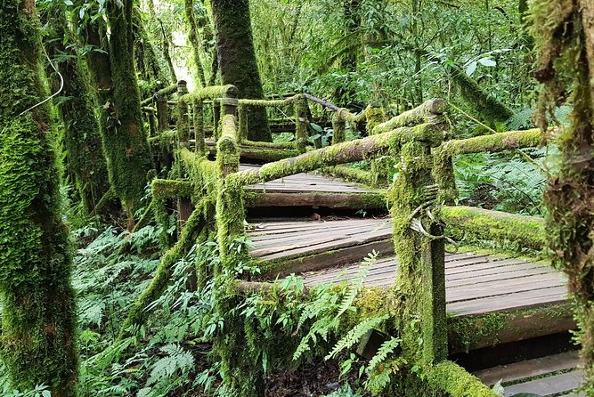 Best Seller! Doi Inthanon National Park Oneday Tour With the Highest Point - Reviews