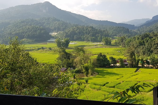 Best Seller! Doi Inthanon National Park Tour With Fantastic 2hr Trekking - Criticisms and Suggestions
