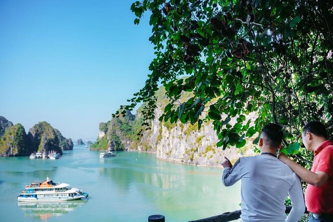 Best Seller Halong Bay Day Tour: Cruise, Lunch, Island and Cave - Common Questions