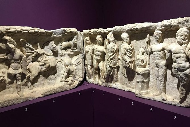 Best Seller Private Ephesus Tour From Kusadasi & Selcuk Hotels - Skip-the-line Option