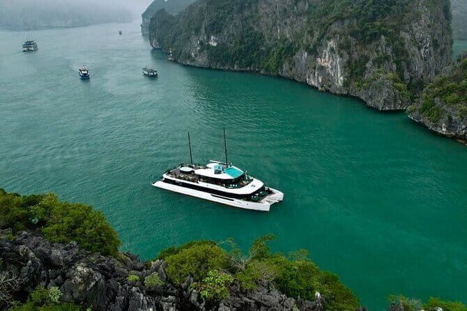 Best Selling Catamaran Cruise Premium Day Trip Explore Halong Bay - An In-Depth Look at the Itinerary and What to Expect