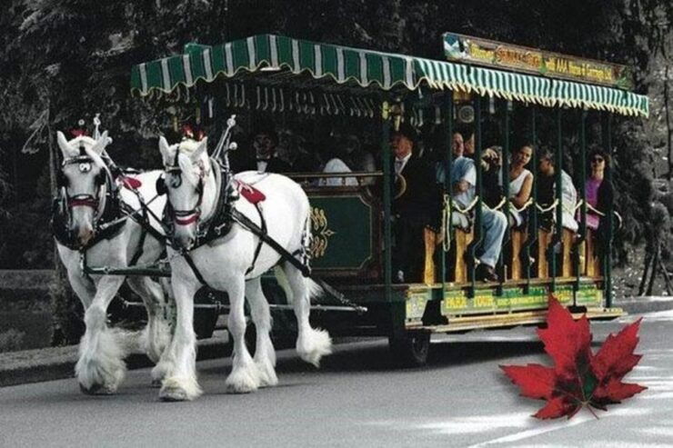 Best Selling Vancouver Sightseeing Tour - Activity Details