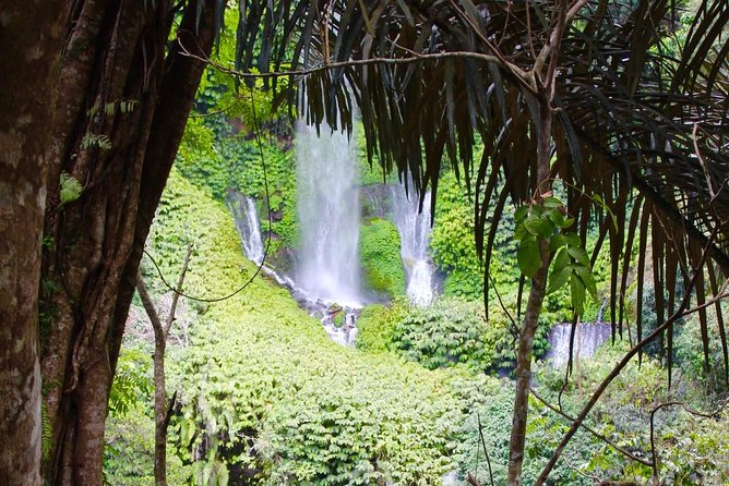 Best Sendang Gile and Tiu Kelep Waterfalls Tour - Tour Highlights