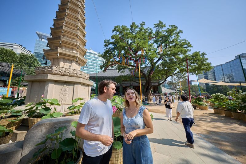 Best Seoul Palaces & N Seoul Tower Tour (Half & Full Day) - Namsangol Hanok Village and N Seoul Tower