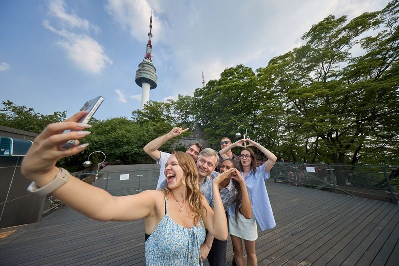 Best Seoul Palaces & N Seoul Tower Tour (Half & Full Day) - Who Should Book This Seoul Tour?