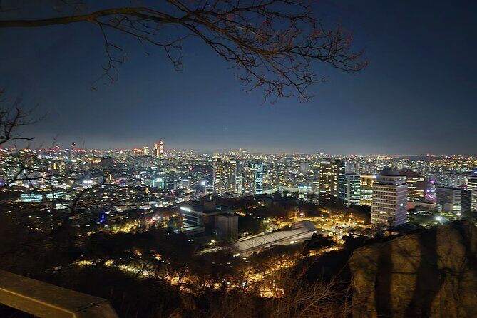Best Seoul's hidden night view spots+Freestyle Tour - Good To Know