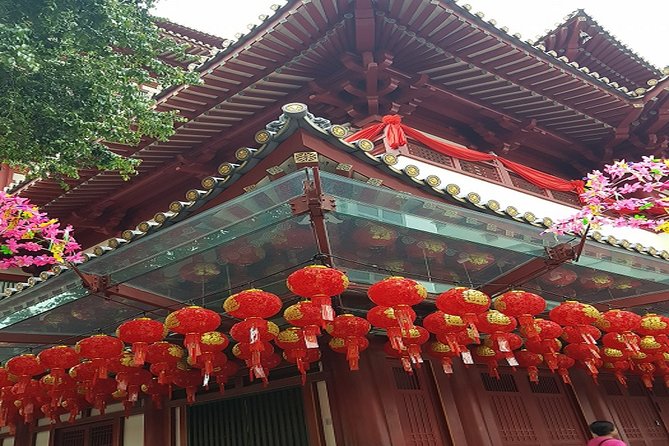 BEST Singapore Private City Tour by an Insider (1/2/3 X Full-Day) - Tour Pricing and Guarantee