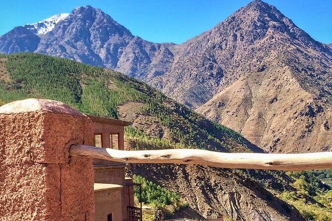 Best Sites in Marrakech and the Ourika Valley All Inclusive - Traditional Lunch Experience