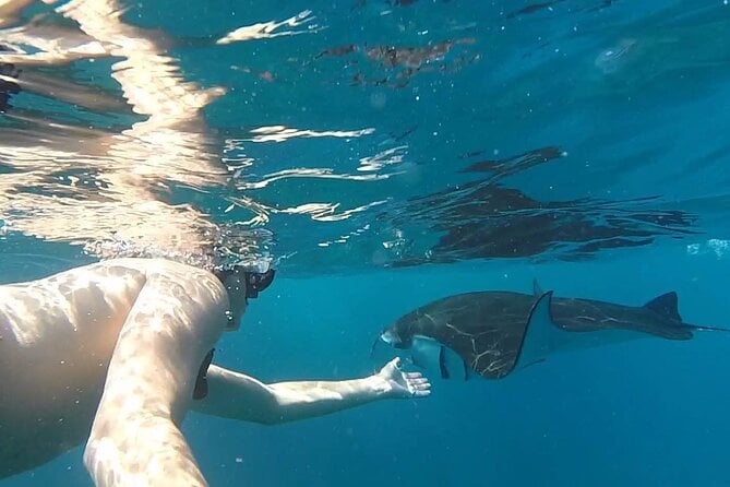 Best Snorkel to Meet Manta Rays in Nusa Penida - Snorkeling Equipment Needed