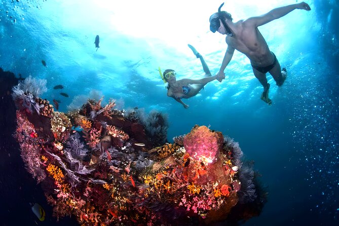 Best Snorkeling Activity in Blue Lagoon Beach Bali - Customer Reviews and Feedback