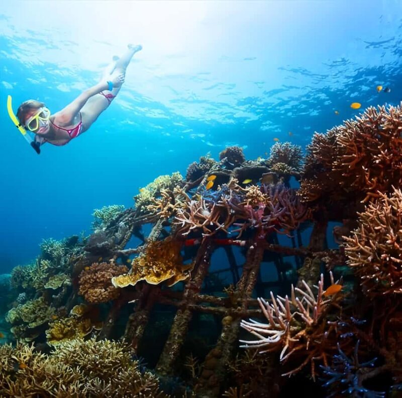 Best Snorkeling Adventure in Bali with Exciting Activities - Good To Know