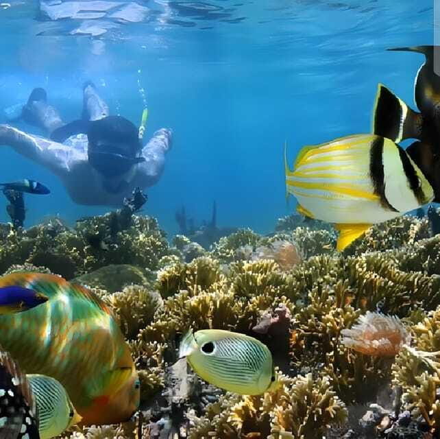 Best Snorkeling Adventure in Bali with Exciting Activities - Who Should Consider This Tour?