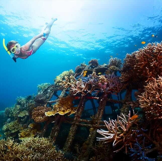 Best Snorkeling Adventure in Bali with Exciting Activities - Final Thoughts