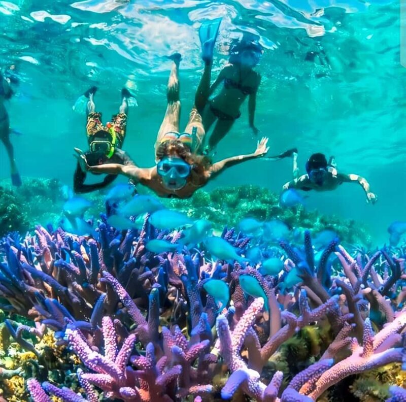 Best Snorkeling Adventure in Bali with Exciting Activities - Good To Know