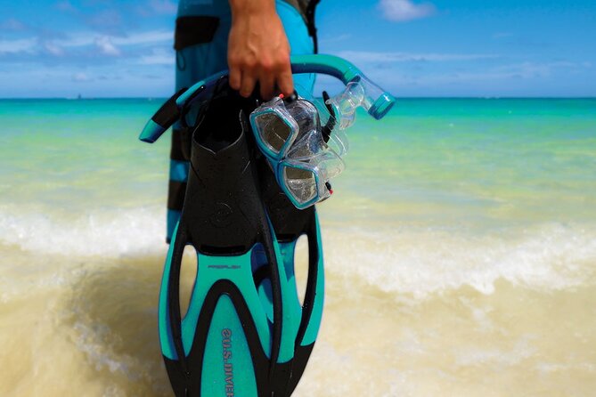Best Snorkeling Gear [Mask, Snorkel, Fins] 5 Day Rental - Use of Snorkeling Equipment