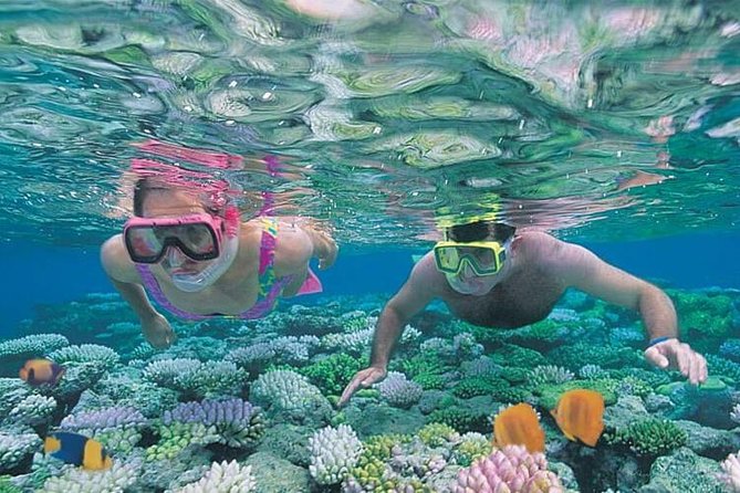 Best Snorkeling Lombok: Gili Nanggu, Gili Kedis & Gili Sudak Day-Trip - Snorkeling Highlights in Gili Nanggu