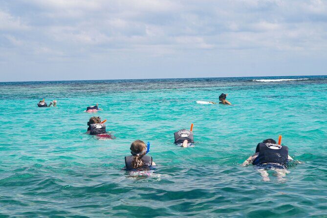 Best SpeedBoat and Snorkeling tour with Transfer from Cancun - Practical Details and Price Analysis