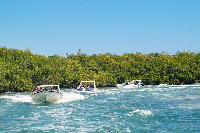 Best SpeedBoat and Snorkeling tour with Transfer from Cancun - The Sum Up