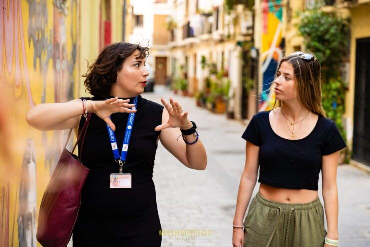 Best Street Art in Valencia Walking Tour - Good To Know