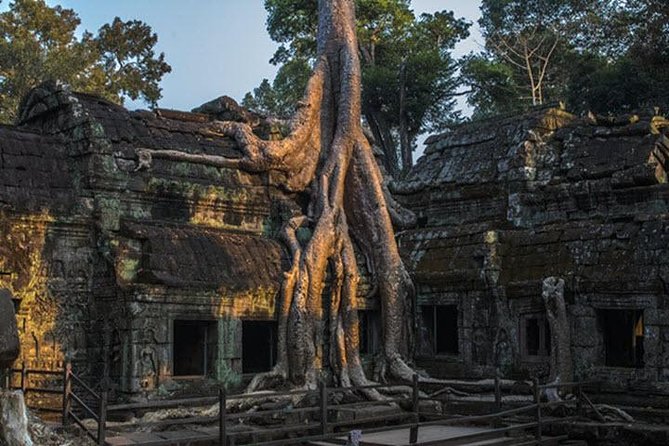 Best Sunrise Angkor Wat Tour -Small Group - Customer Reviews
