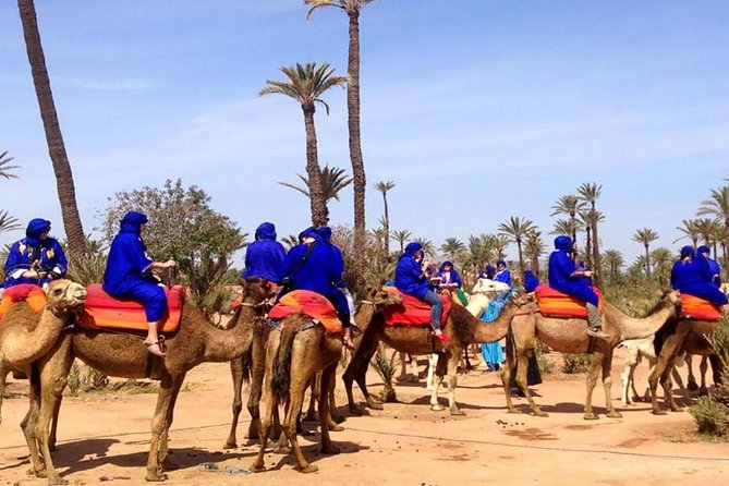Best Sunset Camel Ride With Tea Break in Palm Grove of Marrakech - Small Group Excursion