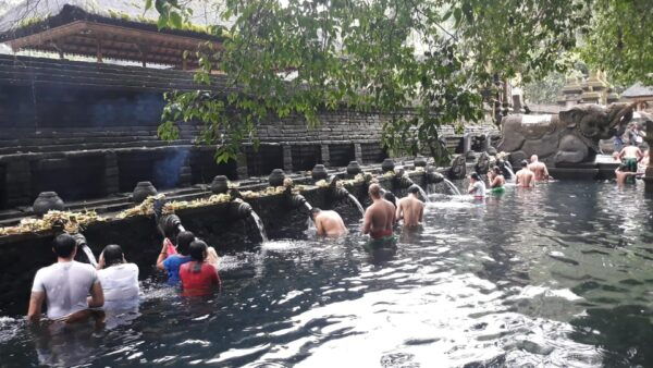 Best Thing to Do in Ubud All Inclusive - Ubud Art Village
