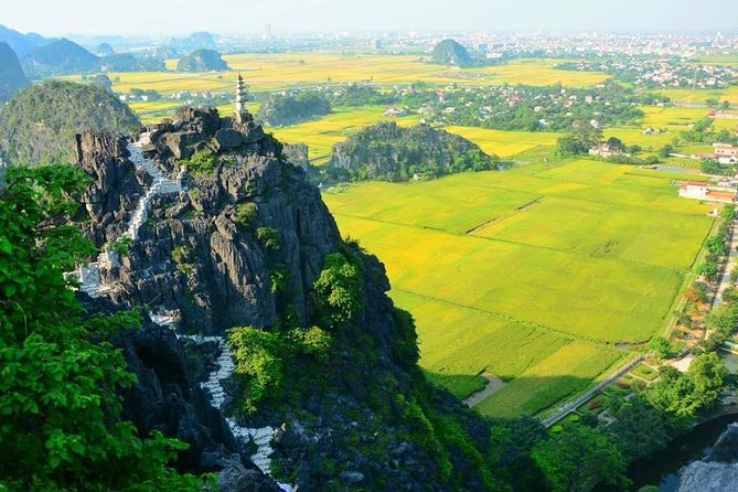 Best Tour Ninh Binh Trang an and Mua Cave Limousine Buffet Lunch - Buffet Lunch Experience