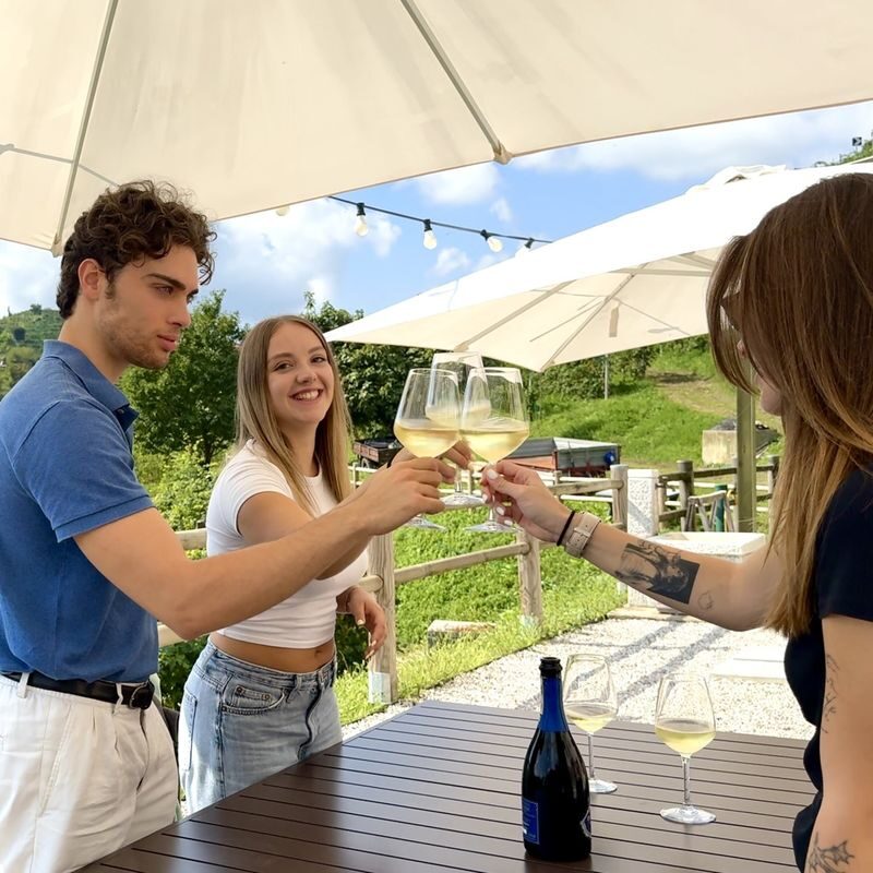Best Tour to the Prosecco Hills and Wine Tasting - What makes this tour worth considering