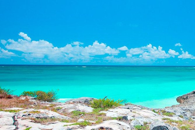 Best Tour to Tulum, Coba, Cenote and Playa Del Carmen - Reviews