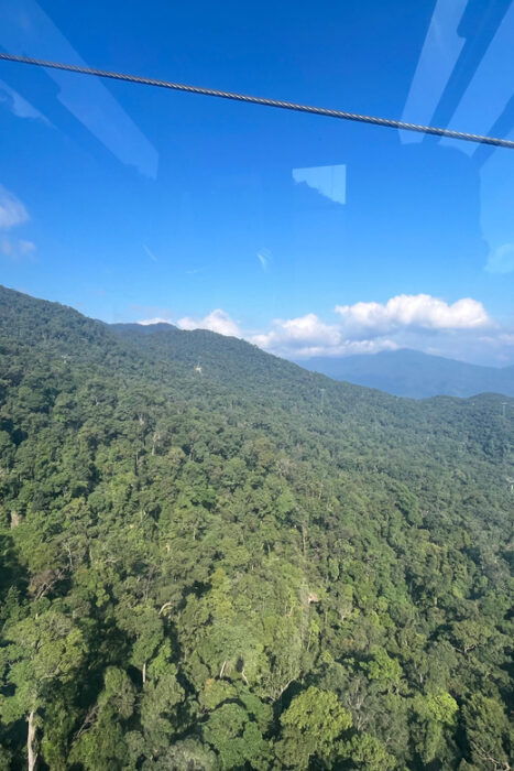 Best Tours/ Transfer to Bana Hills & Golden Bridge - Pickup From Additional Locations
