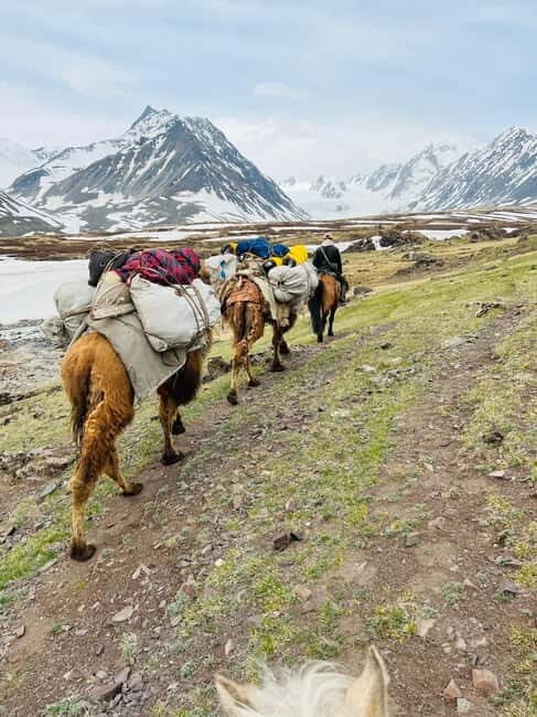 Best trekking tour in Mongolia - Best trekking tour in Mongolia