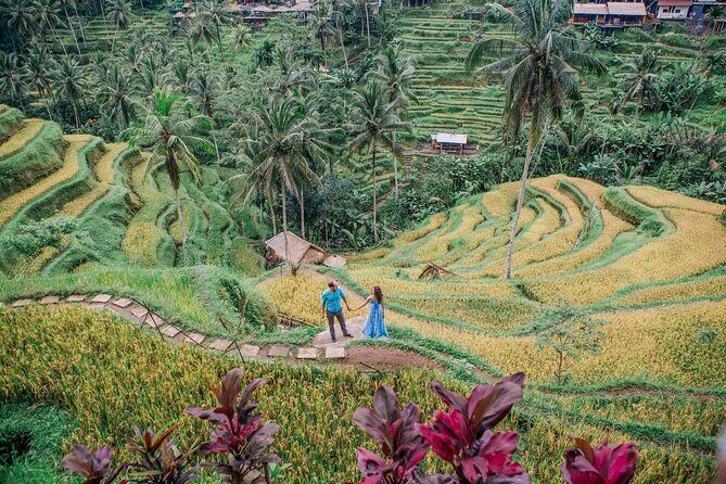 Best Ubud Highlights - Private Day Tour - Who Should Consider This Tour?
