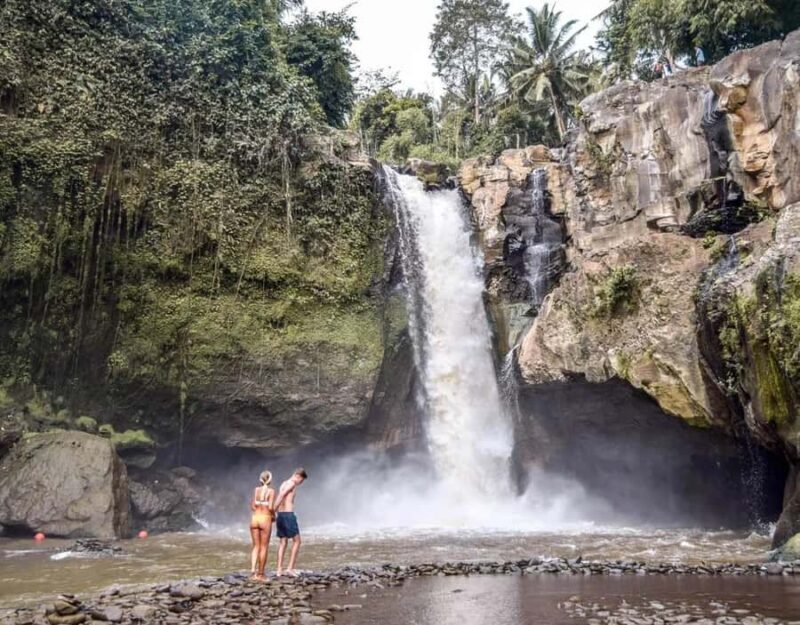 Best Ubud Tour Experience with Magical Kecak Dance - Introduction: Why This Ubud Tour Stands Out