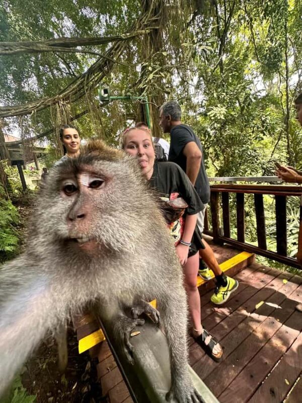 Best Ubud Tour - Ubud Instagramable Tour - A Comprehensive Look at the Ubud Instagramable Tour