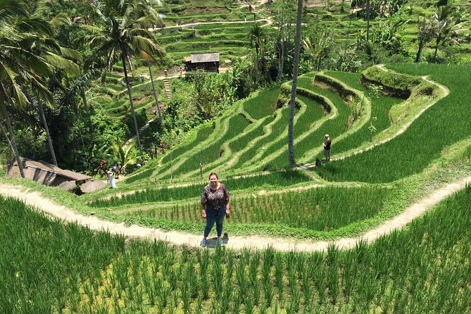 Best Ubud Tour With Jungle Swing And Lunch - Tour Highlights