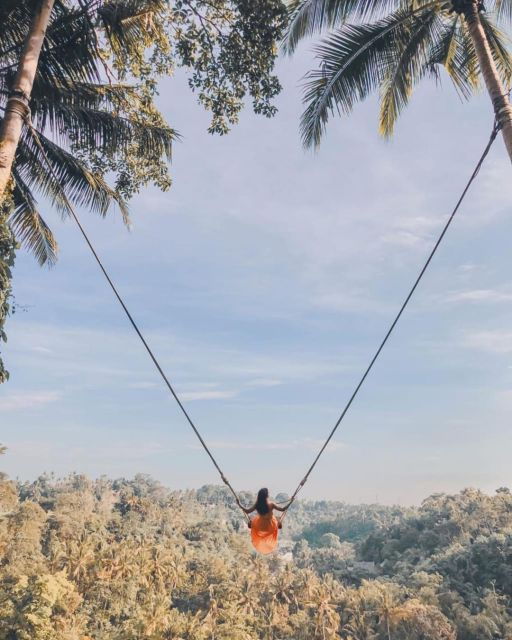 Best Ubud Waterfalls, Rice Terrace & Swing - Inclusive Tour - Itinerary Overview