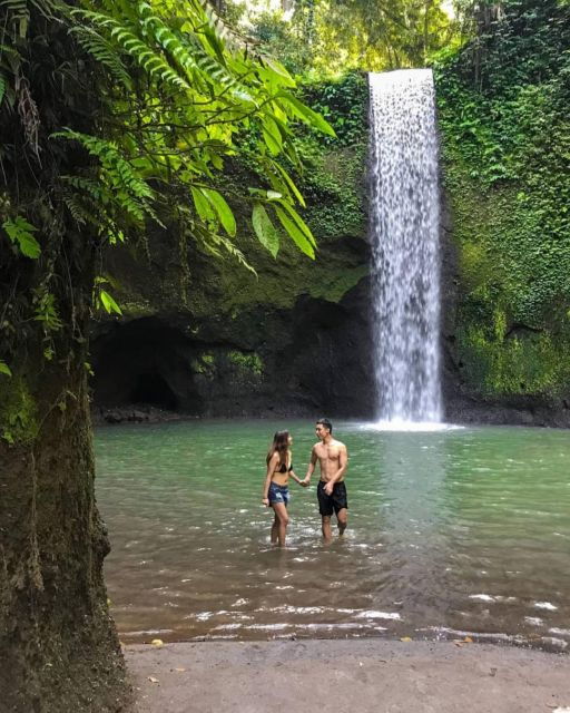 Best Ubud Waterfalls, Rice Terrace & Swing - Inclusive Tour - Tegalalang Rice Terrace