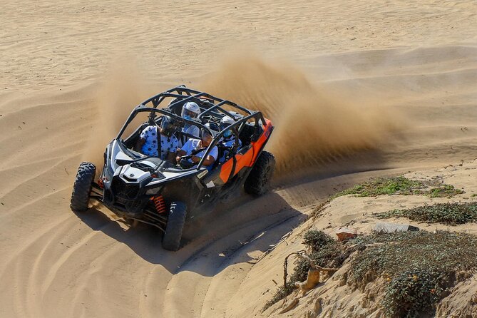 Best UTV Adventure in Los Cabos, Beach & Desert. - Reviews and Feedback