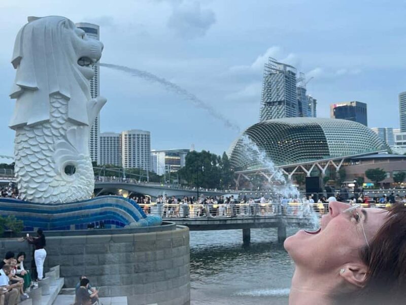 Best-Value 2-in-1 Combo Eat By Day, Shows By Nights - Exploring Singapore in a Single Day: A Detailed Look at the Best-Value 2-in-1 Combo Tour