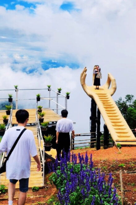 Best Value : Mon Jam, Doi Suthep, Wat Umong and Fluer Cafe - Visiting Wat Umong