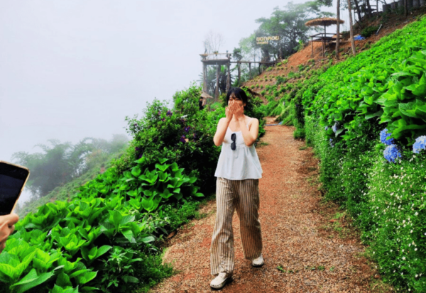 Best Value : Mon Jam, Doi Suthep, Wat Umong and Fluer Cafe - Fleur Cafe Delights