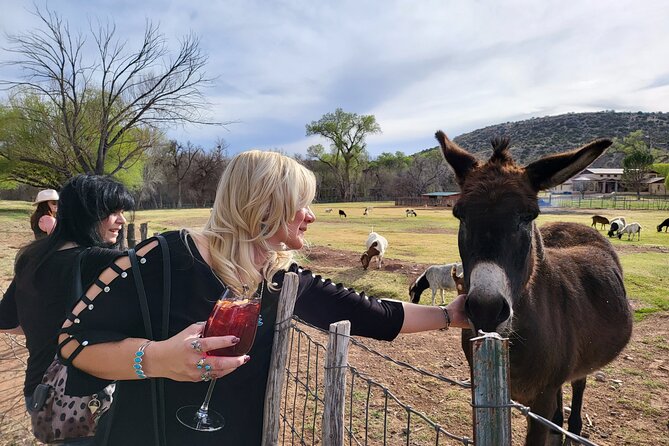 Best Value, Private Wine Tour, Great for Parties! - Customized Wine Tours in Verde Valley