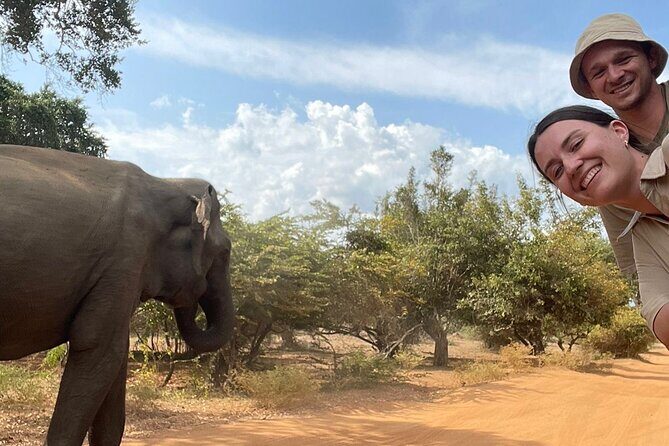 Best Value Yala Safari: Spot Leopards, Elephants & Bears (Shared) - Why You Should Consider This Safari