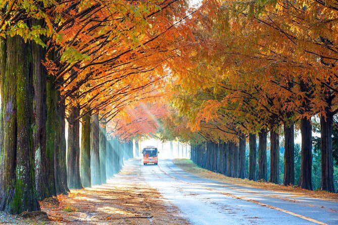 Best View Seoul Autumn Foliage Tour - Tour Overview and Itinerary