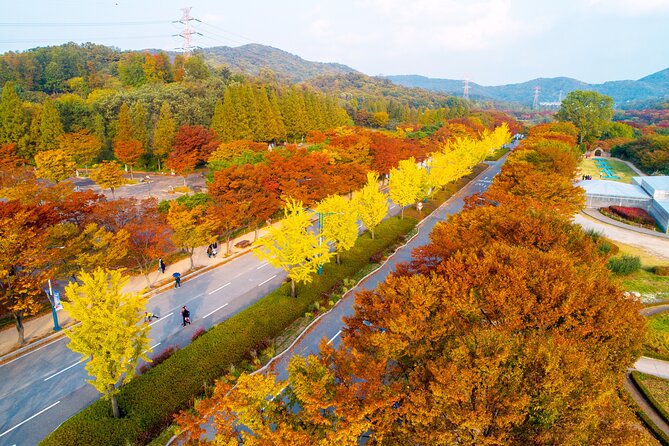 Best View Seoul Autumn Foliage Tour - Cancellation Policy
