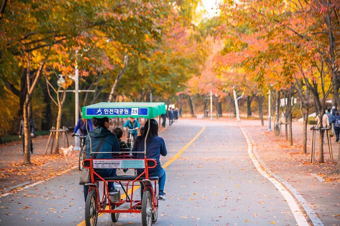 Best View Seoul Autumn Foliage Tour - Weather Conditions