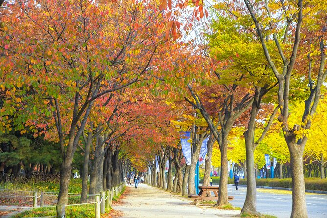 Best View Seoul Autumn Foliage Tour - Additional Information and Resources