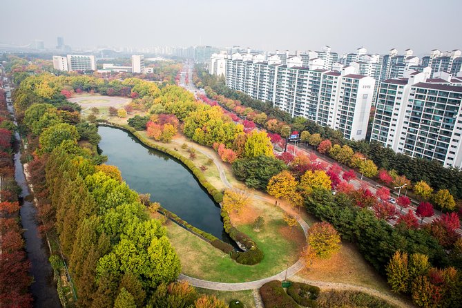 Best View Seoul Autumn Foliage Tour - Best Viewing Spots