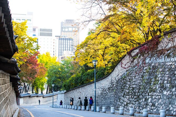 Best View Seoul Autumn Foliage Tour - Tips for a Memorable Autumn Foliage Tour