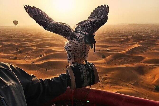 Best Views of Dubai Desert by Balloon With Falcon Show - Duration and Vehicle Details